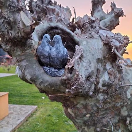 Rurales Aparthotel Sobremazas