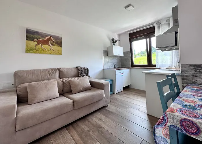 Lägenhetshotell Rurales