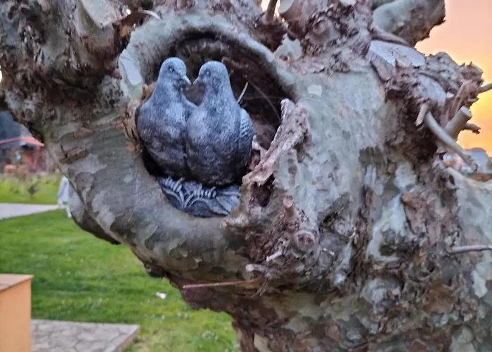 Rurales Lägenhetshotell Sobremazas